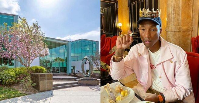 Pharrell Williams sprzedaje swoje gniazdko - wygląda jak mix luxmedu z aquaparkiem