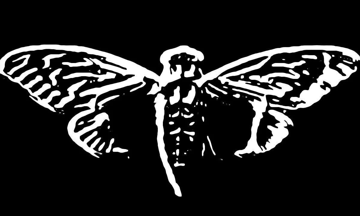 Cicada 3301 - nierozwiązana zagadka internetu. Tajemnicza organizacja czy zwykły trolling?