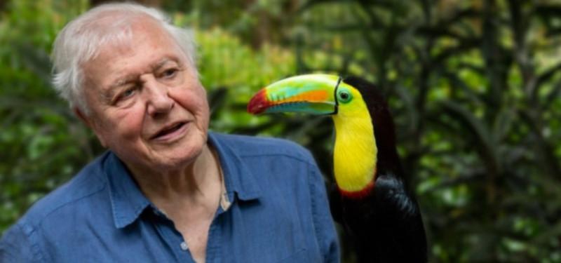 93-letni Sir David Attenborough będzie uczyć dzieci w internecie