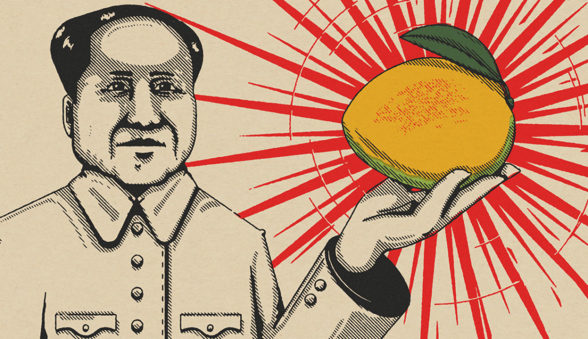 1968 rok: Mao gardzi mango, wręcza je robotnikom i tak powstaje święty owoc