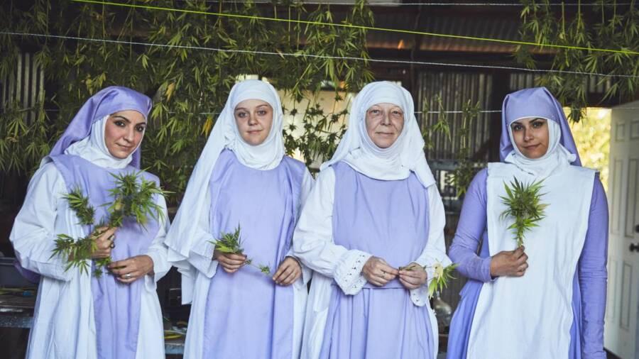 „Maryśki” - kalifornijskie zakonnice znane jako Siostry z Doliny poświęciły życie ziołu