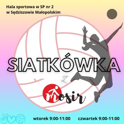 Wakacyjne zajęcia z piłki siatkowej dla dzieci i młodzieży