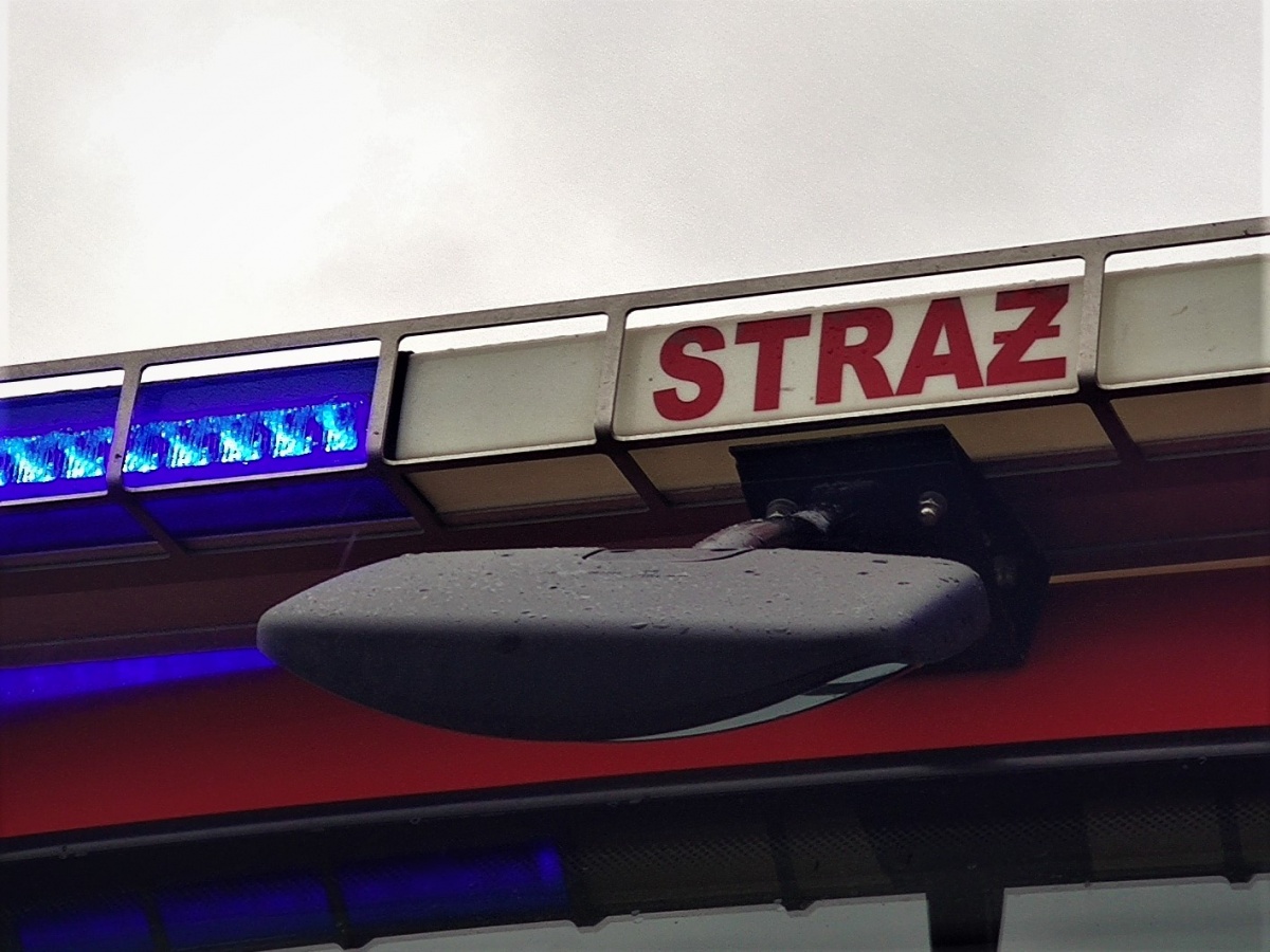 Drzewo spada nocą na jeden z pasów drogi wojewódzkiej w Wielopolu Skrzyńskim