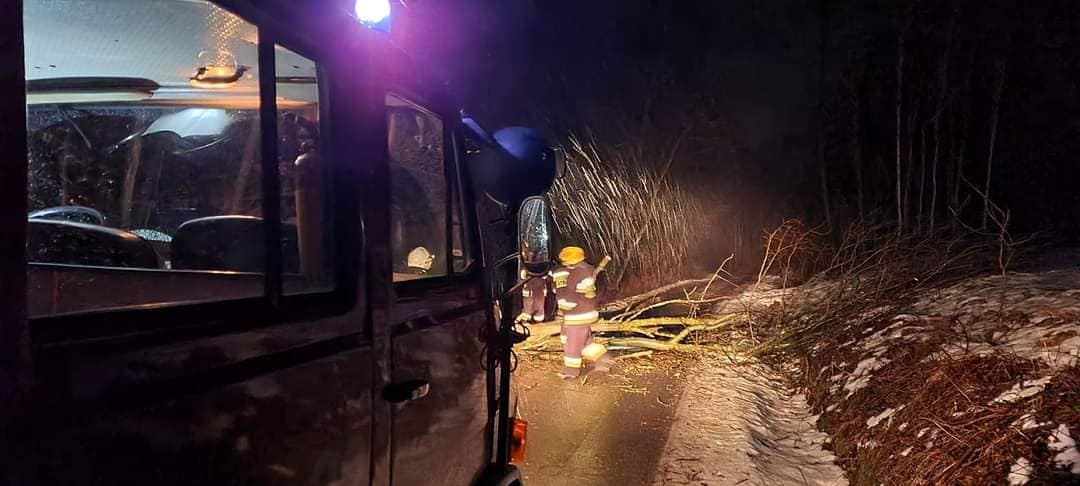Wiatr tak silny, że łamie drzewa. Najwięcej interwencji strażaków w Ropczycach