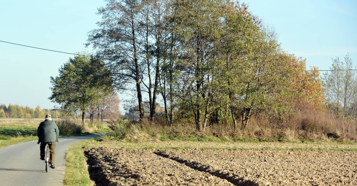 Historyczny(?) kopiec w Ropczycach sprawdzą archeolodzy? Na razie jest list