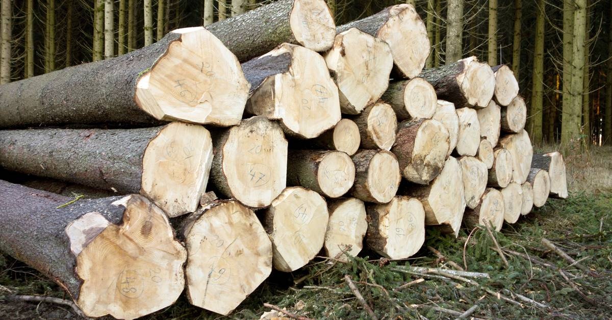 Zwoził drzewa, spowodował wypadek. Jest akt oskarżenia