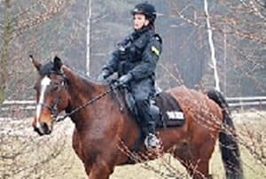 Policja konna zaskoczyła drwali