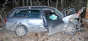Audi wpadło na drzewo