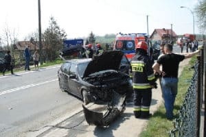 Zniszczył dwa ogrodzenia - galeria ZDJĘĆ