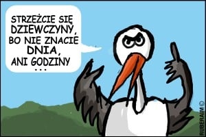 W powiecie rośnie liczba urodzeń