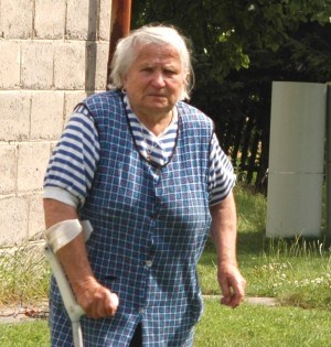 Bocian Wojtek poleciał  do ciepłych krajów
