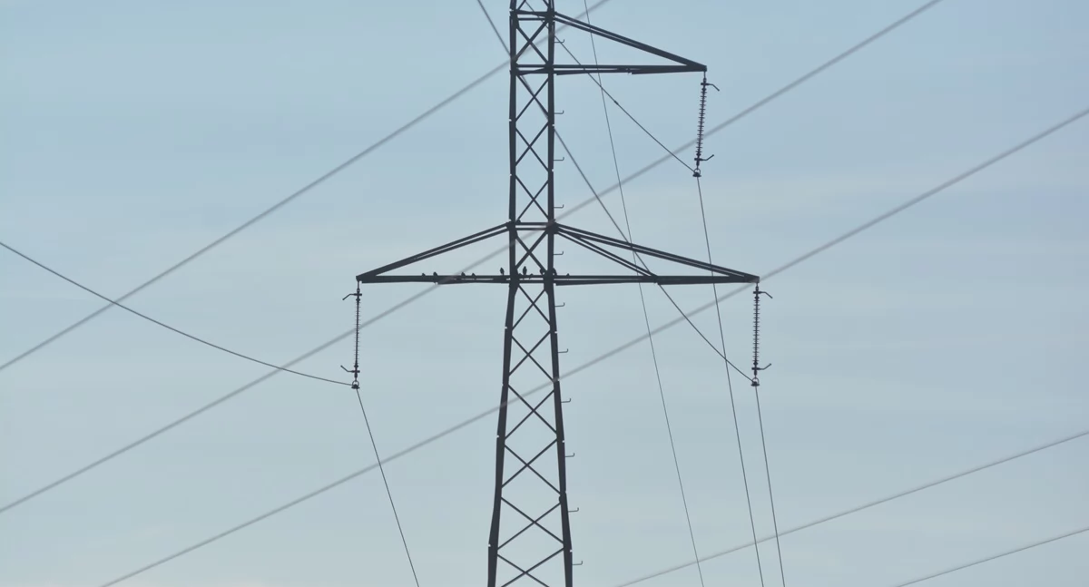 Nie będzie prądu w Wiśniowej, Kamionce i Ropczycach