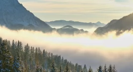 Weź udział w konkursie! Bezpieczne Gospodarstwo Rolne