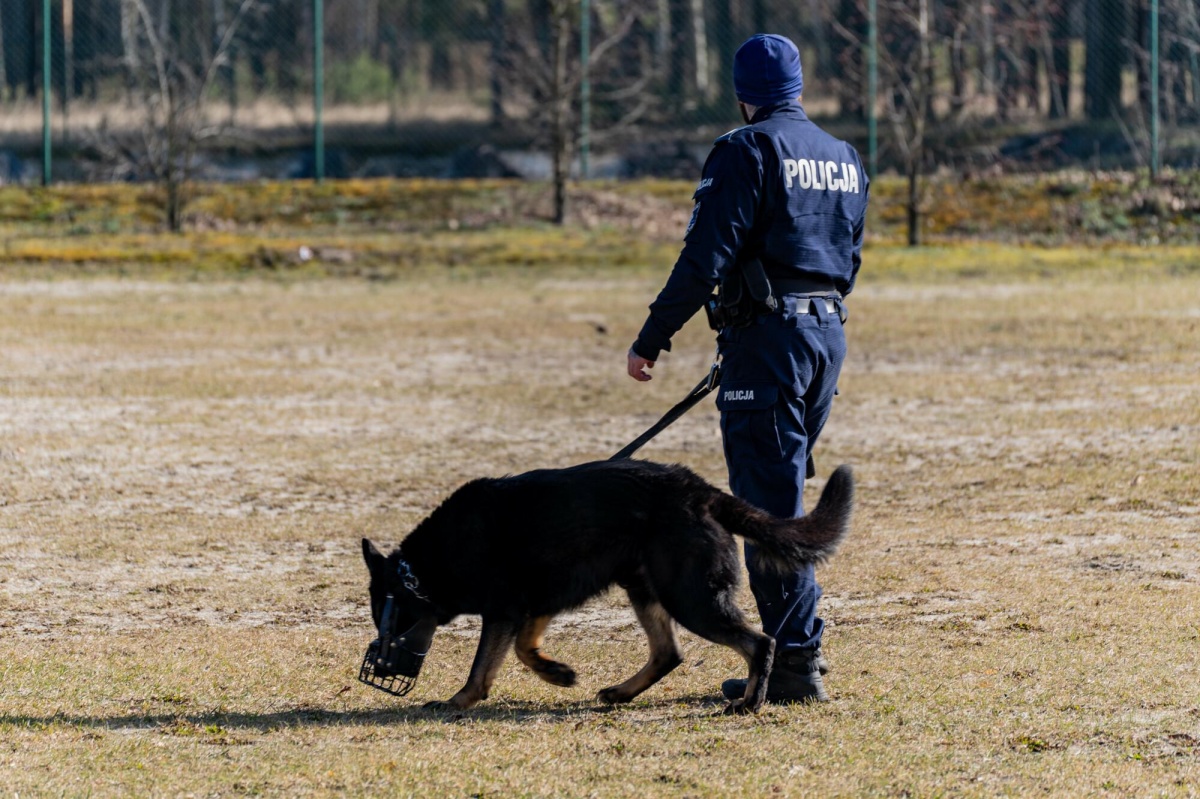 Morderstwo na Mokotowie w Warszawie. Obciął staruszce palce, a worek założył na głowę