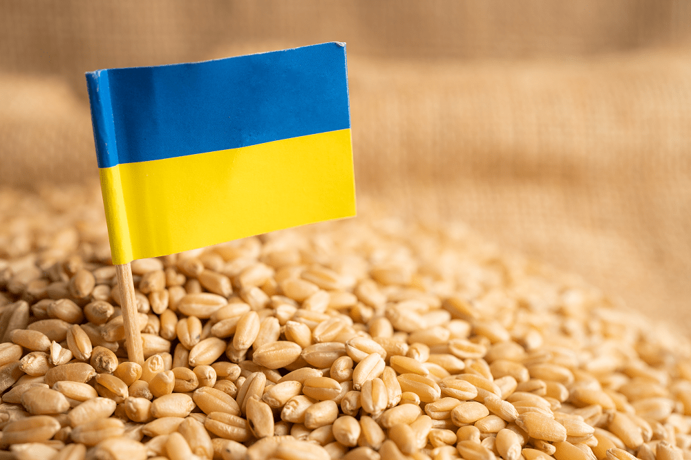 Zakaz importu zboża - Kijów oskarża Polskę