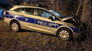 Nastolatki w radiowozie i samochód na drzewie