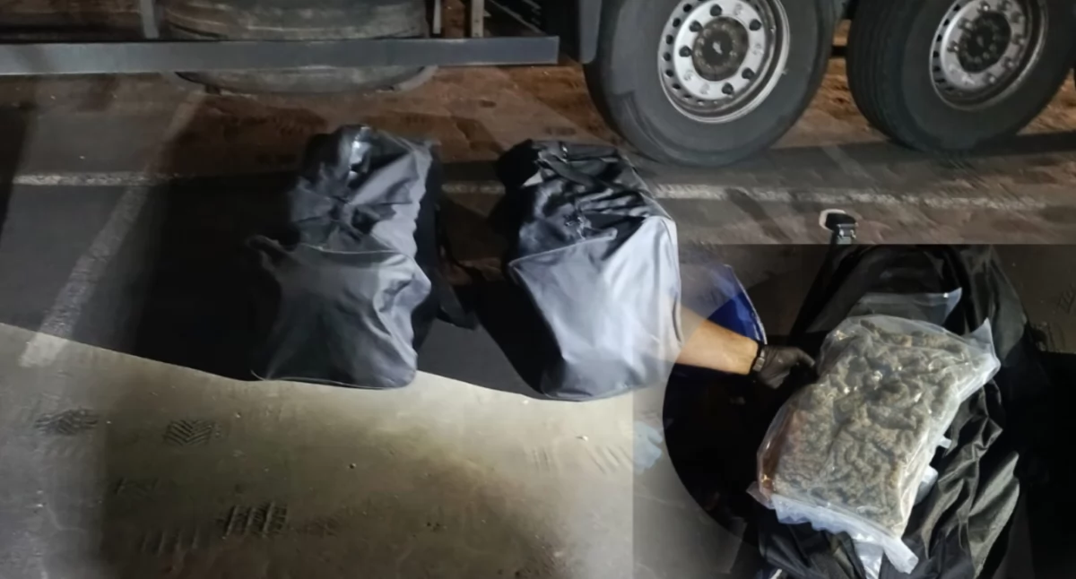 Jędrzychowice: Przemyt narkotyków w ciężarówce. Marihuana była wszędzie 