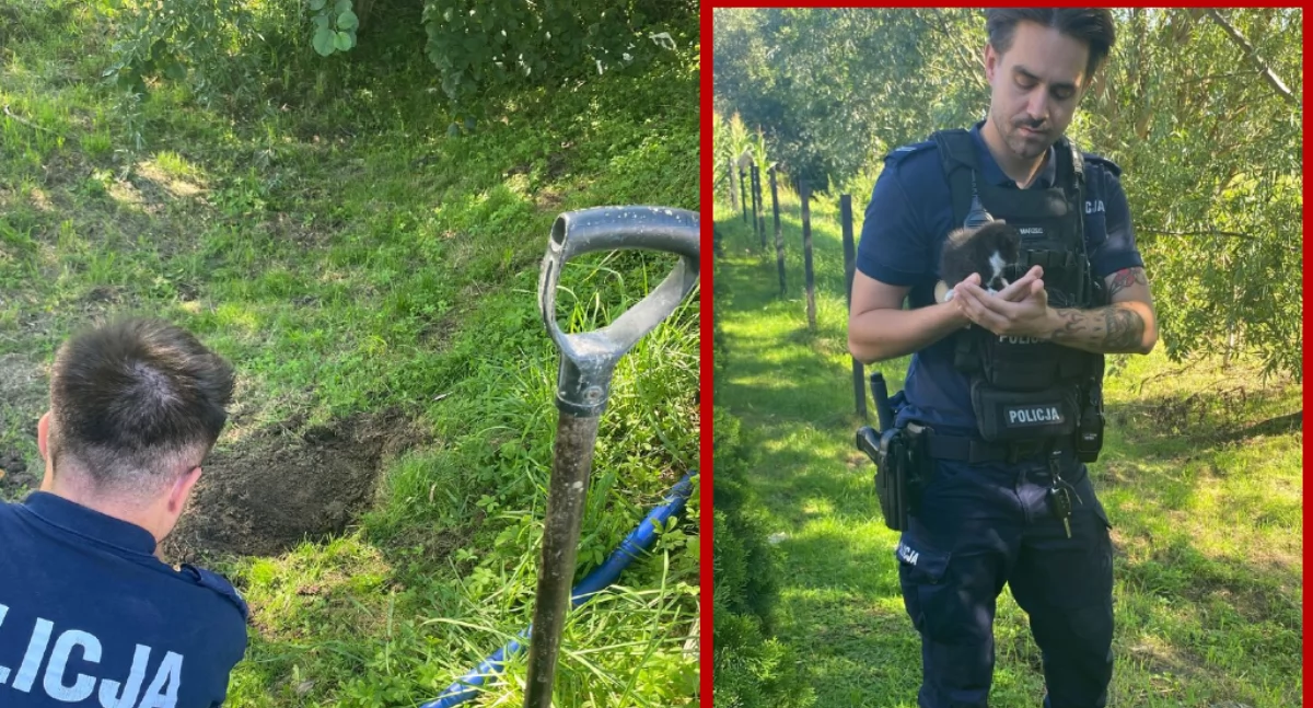  Nowy Dwór: Matka zakopała żywe koty. Córka odkryła tragedię w ogrodzie