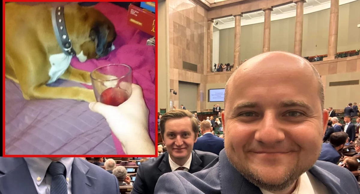 Dariusz Matecki dręczył psa? 