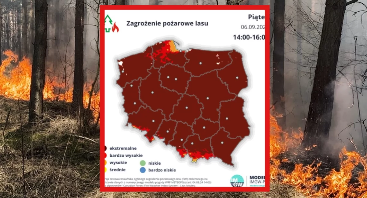 Ekstremalne zagrożenie pożarowe w Polsce. Upały i brak opadów zwiększają ryzyko