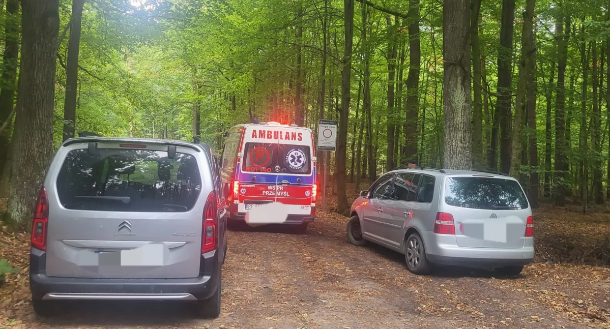 Samochody zablokowały dojazd karetce. Leśnicy apelują do grzybiarzy o rozsądek 