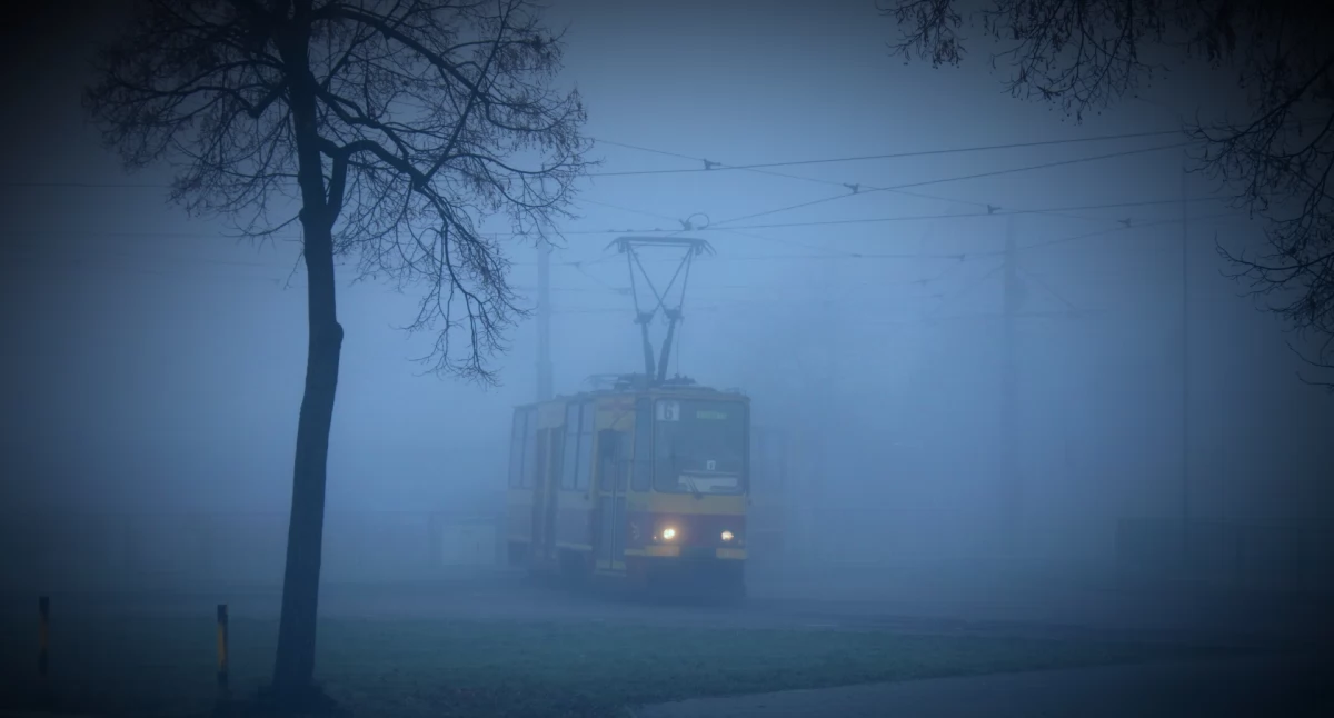 Mgła nad Polską. Wydano ostrzeżenia w dziewięciu województwach