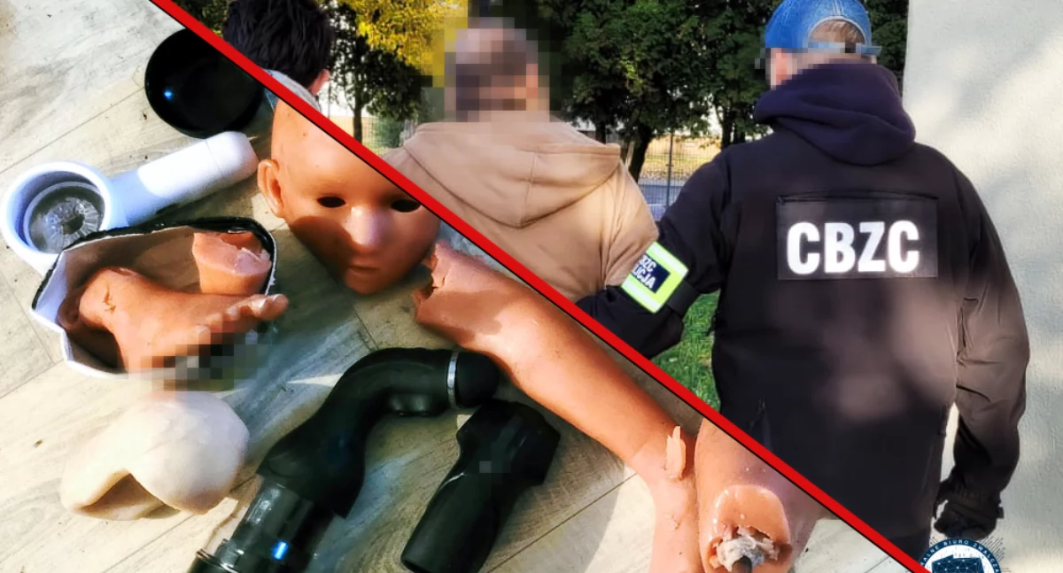 Pedofile zatrzymani przez policjantów CBZC. Szczegóły Operacji 
