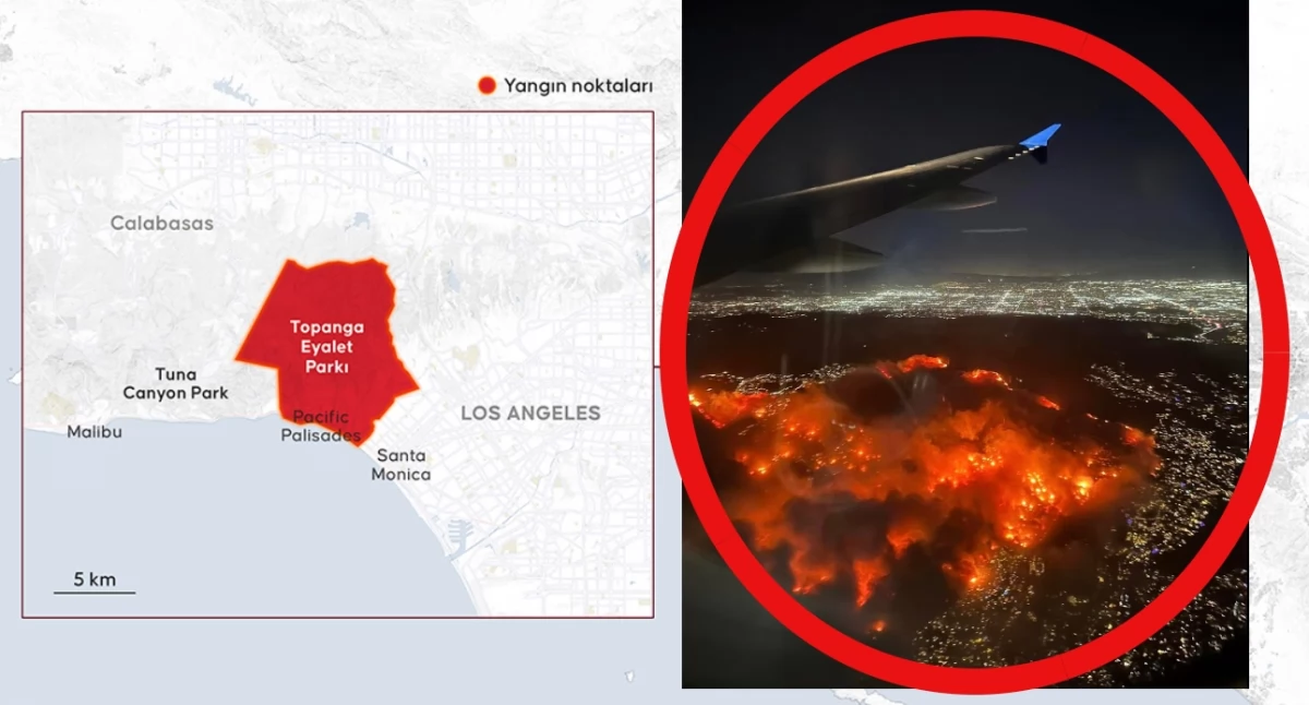 Los Angeles: Pożar w dzielnicy celebrytów. Ewakuacja mieszkańców – najnowsze informacje