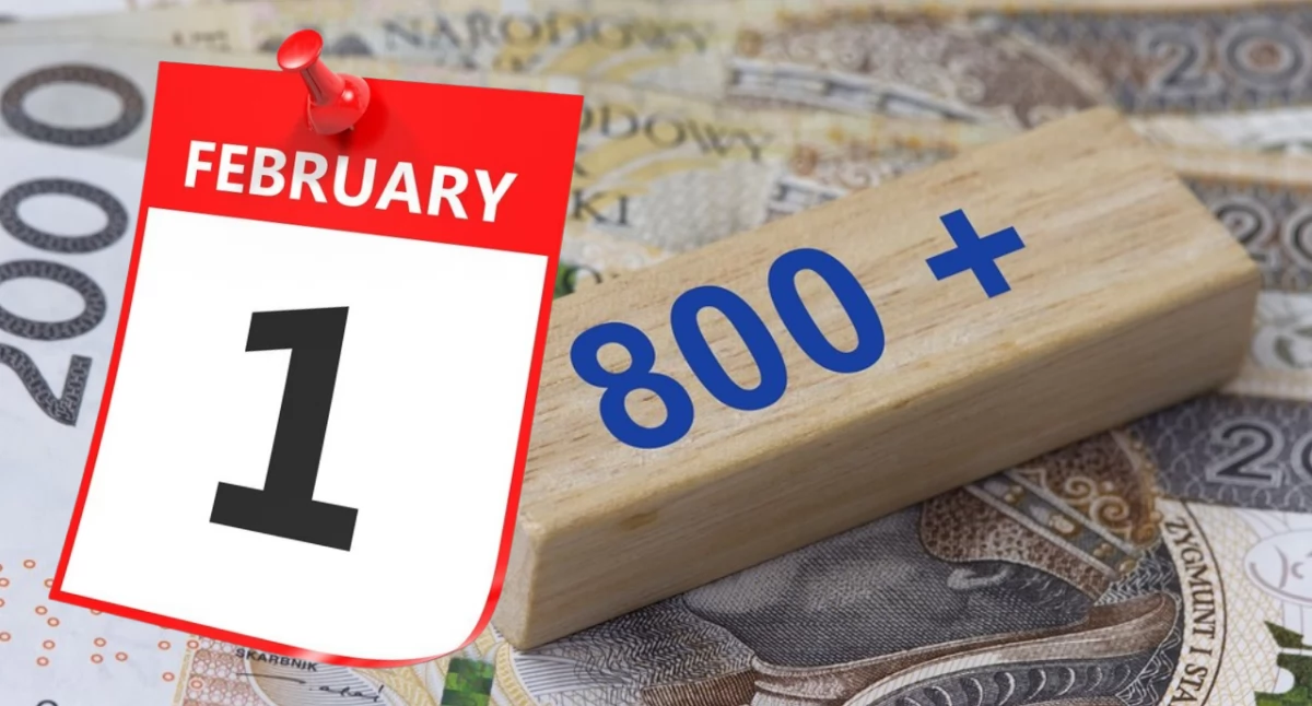 Od 1 lutego można składać wnioski o 800 plus. Poradnik informacyjny dla rodziców