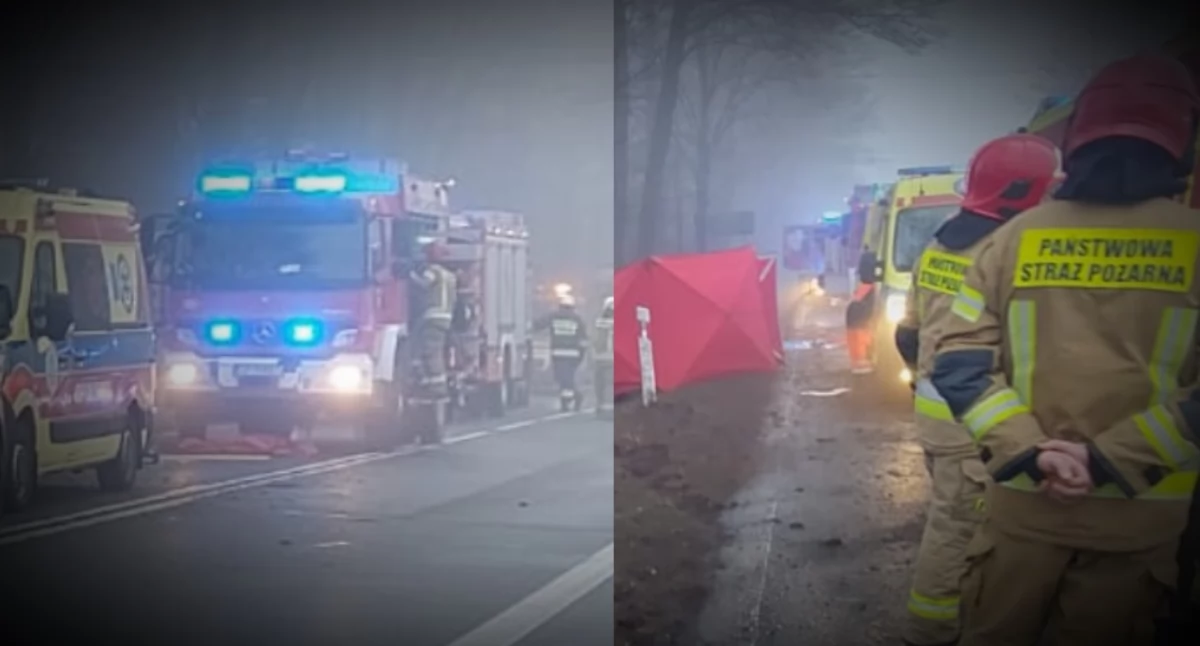 Śmiertelny wypadek na drodze krajowej nr 46. Samochód rozbił się na drzewie – szczegóły wypadku