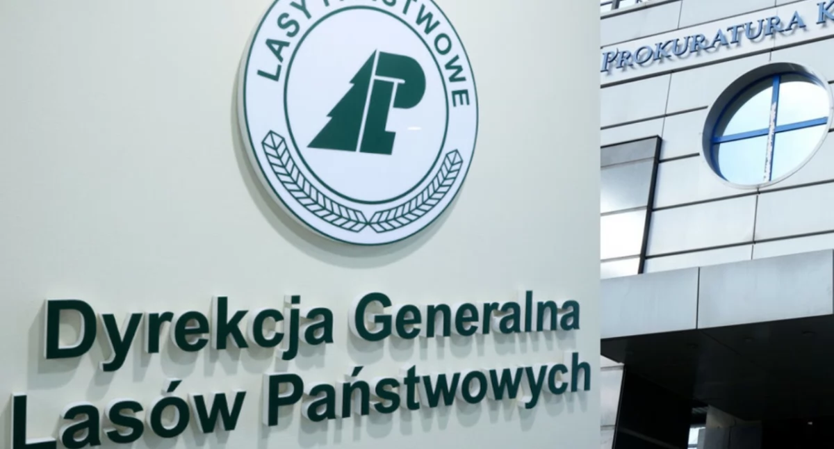 Byli dyrektorzy Lasów Państwowych z zarzutami. Powiązania z posłem Mateckim – szczegóły śledztwa