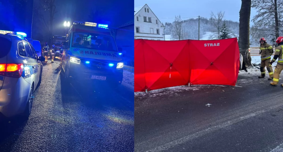 Śmiertelny wypadek w Kaczorowie. Nie żyje 27-letni kierowca dostawczaka 