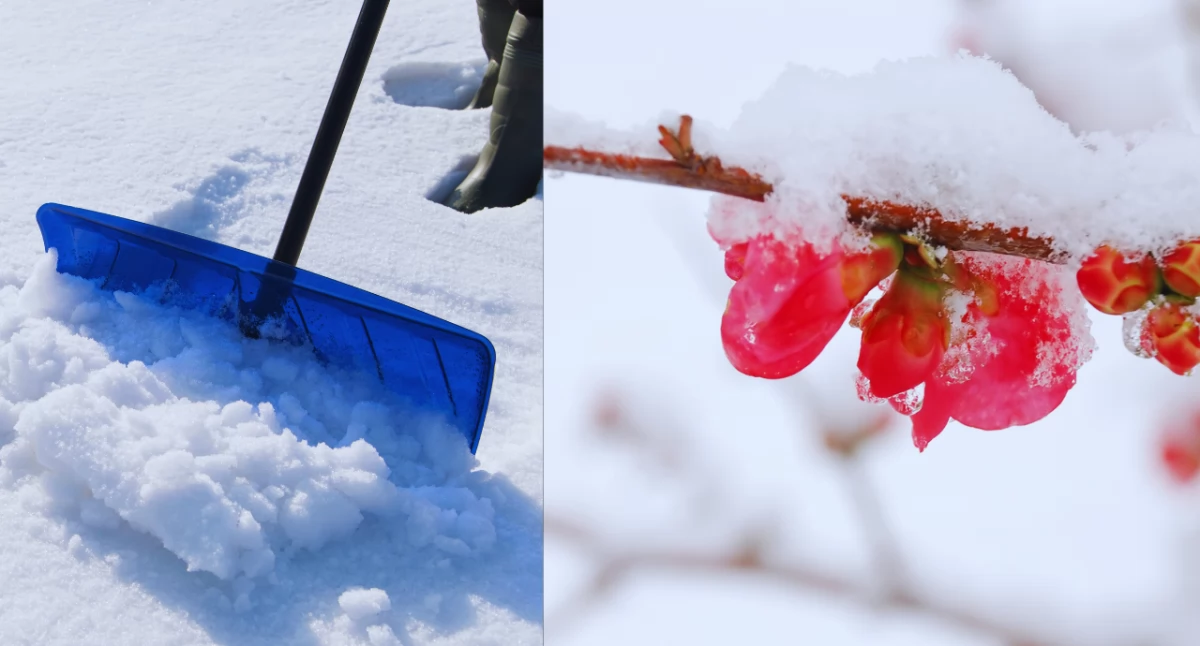 Prognoza pogody na 7 i 8 kwietnia: śnieg w górach, deszcz i zimne powietrze z północy