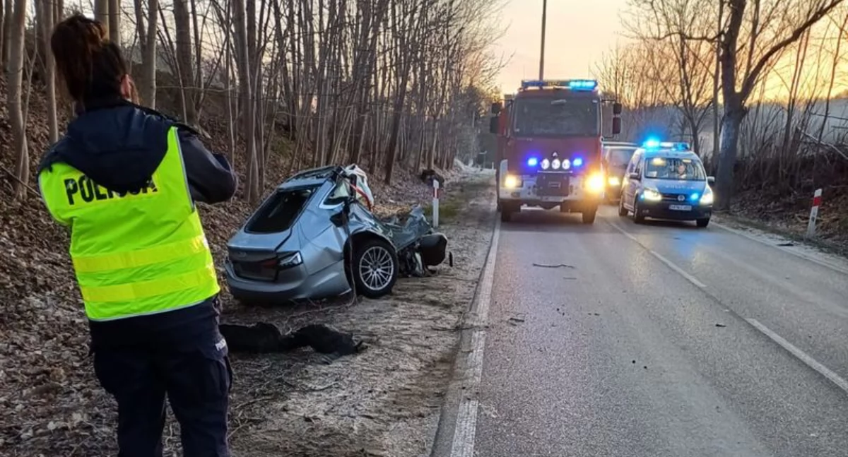 Koszmarny wypadek w Wejherowie. 36-latek zginął uderzając swoim Audi w drzewo