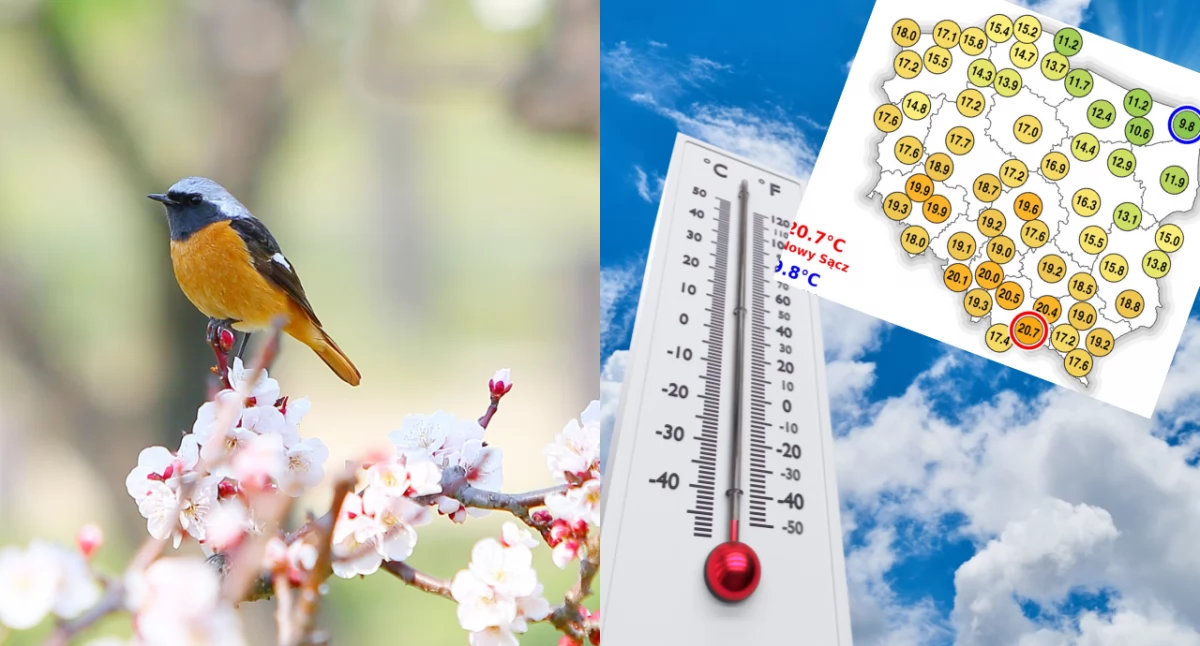 Pogoda w Polsce: Czwartek z wysoką temperaturą i ostrzeżeniami IMGW 