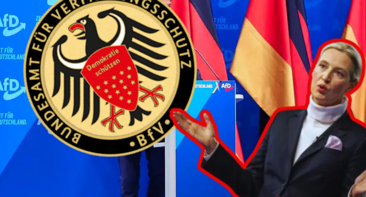 AfD uznana za organizację ekstremistyczną. Partia zapowiada pozew