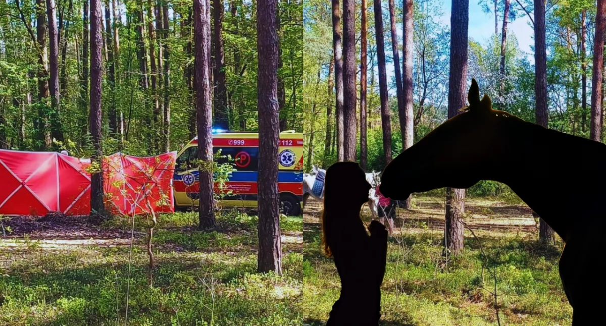 Śmiertelny wypadek w powiecie biłgorajskim. 14-latka zginęła po upadku z konia