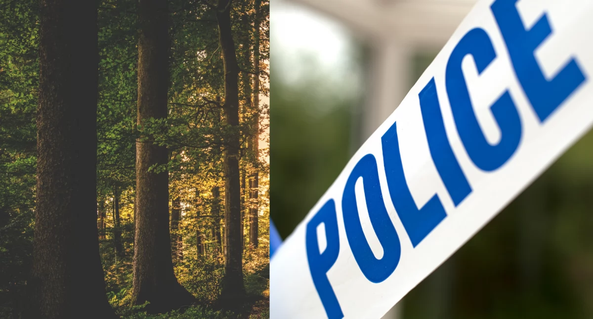 Ciała dwóch zaginionych mężczyzn z Mazowsza odnalezione w lesie