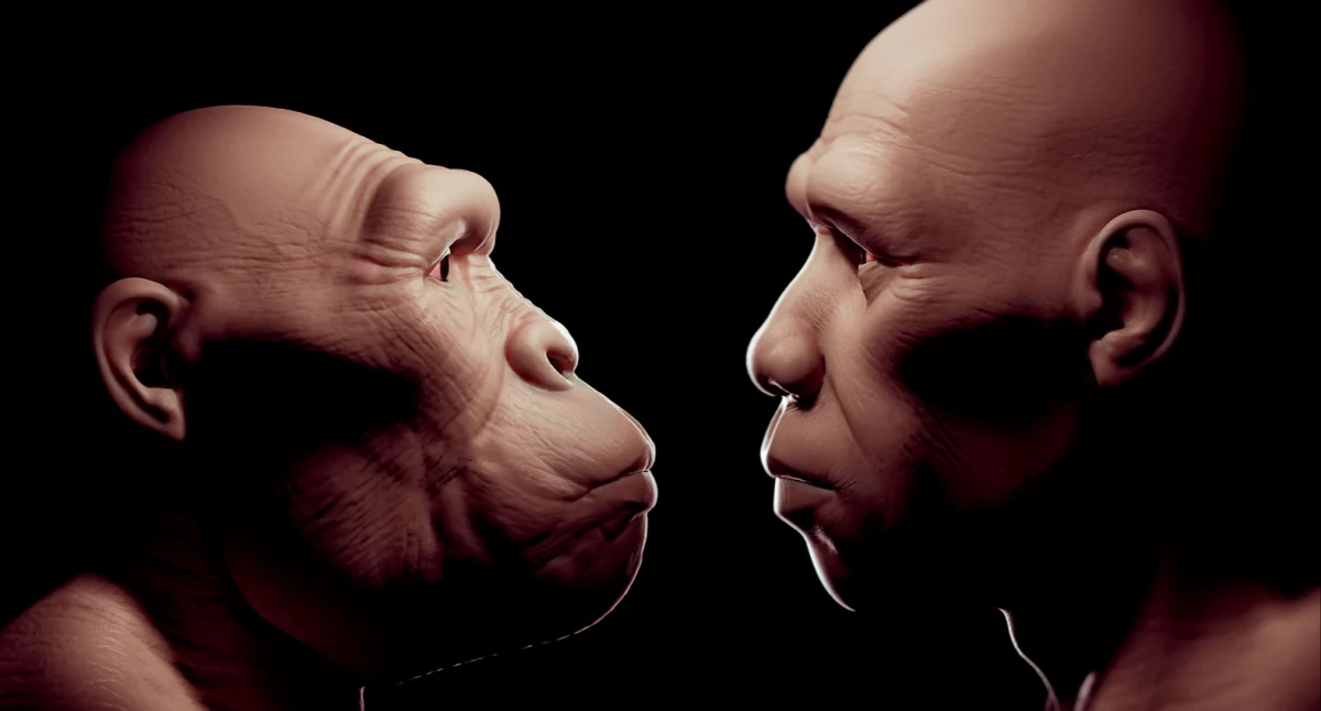Pierwszy sex Homo sapiens i neandertalczyków. Dowody z czaszki dziecka z Izraela