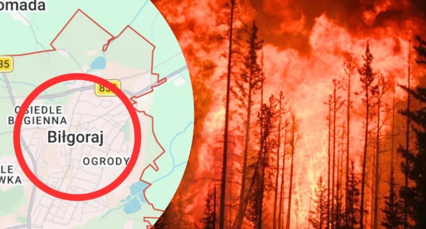 Puszcza Solska w ogniu. Co spowodowało ogromny pożar lasów?