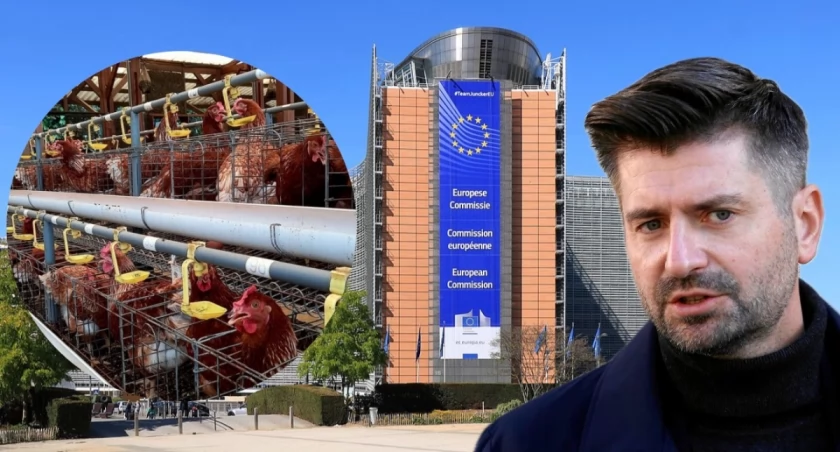 UE chce zakończyć epokę klatek. Śmiszek zapowiada spore wsparcie dla rolników