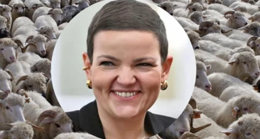 Ustawa dla artystów czy kolejny przywilej? Spór wokół projektu Marty Cienkowskiej dopiero się zaczyna 