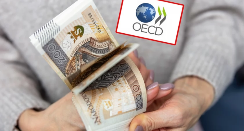 Polska liderem zwrotów z oszczędności emerytalnych. Fundusze emerytalne osiągnęły rekordowy wynik