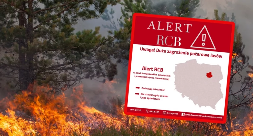 Zagrożenie pożarowe lasów Mazowsze. RCB wysyła alert do trzech powiatów