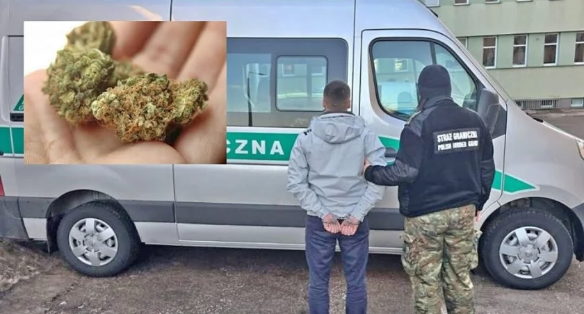 Marihuana za 48 mln zł w cegłach z Tajlandii. Straż Graniczna przejęła przemyt z Azji 
