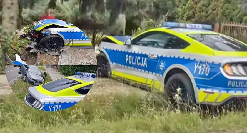 Policyjny Mustang skończył na płocie. Po konfiskacie rozbity Ford służył niecałe cztery miesiące