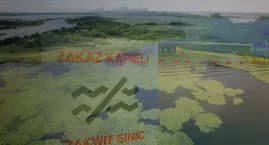 Zakaz kąpieli w jeziorze Dąbie w Szczecinie. Sinice znów atakują