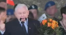 Zawrotny rachunek za partyjne pikniki PiS. Cezary Tomczyk podliczył Błaszczaka 