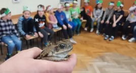 Nowy przedmiot w szkole. Przyroda zastąpi lekcje biologii, geografii, chemii i fizyki – religia poza nawiasem 