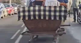 Góral ciągnął sanie z turystami po suchym asfalcie. Mamy nagranie. 